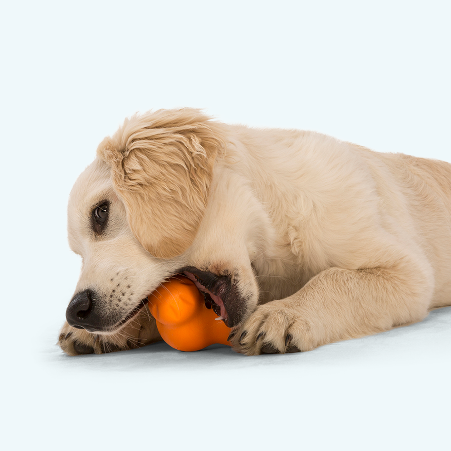 Tux Treat Toy – Tough Puzzle Toy for Dogs