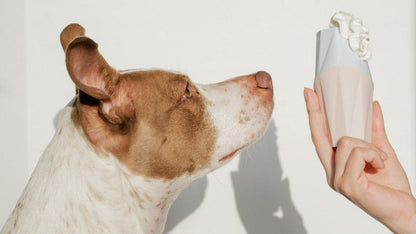 The Ubbe Dog Licking Toy – Modern Treat Dispensing Toy