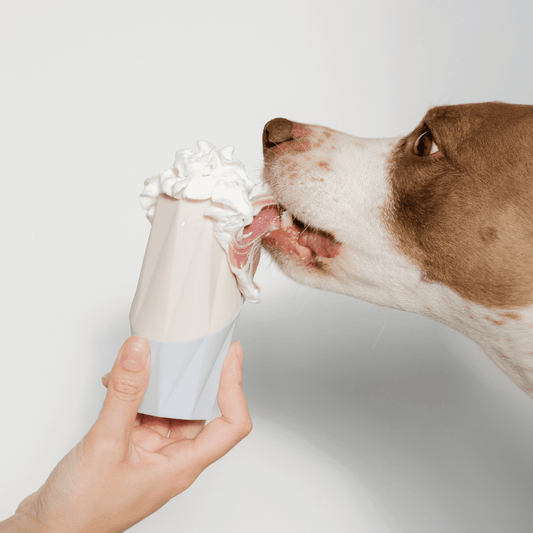 The Ubbe Dog Licking Toy – Modern Treat Dispensing Toy