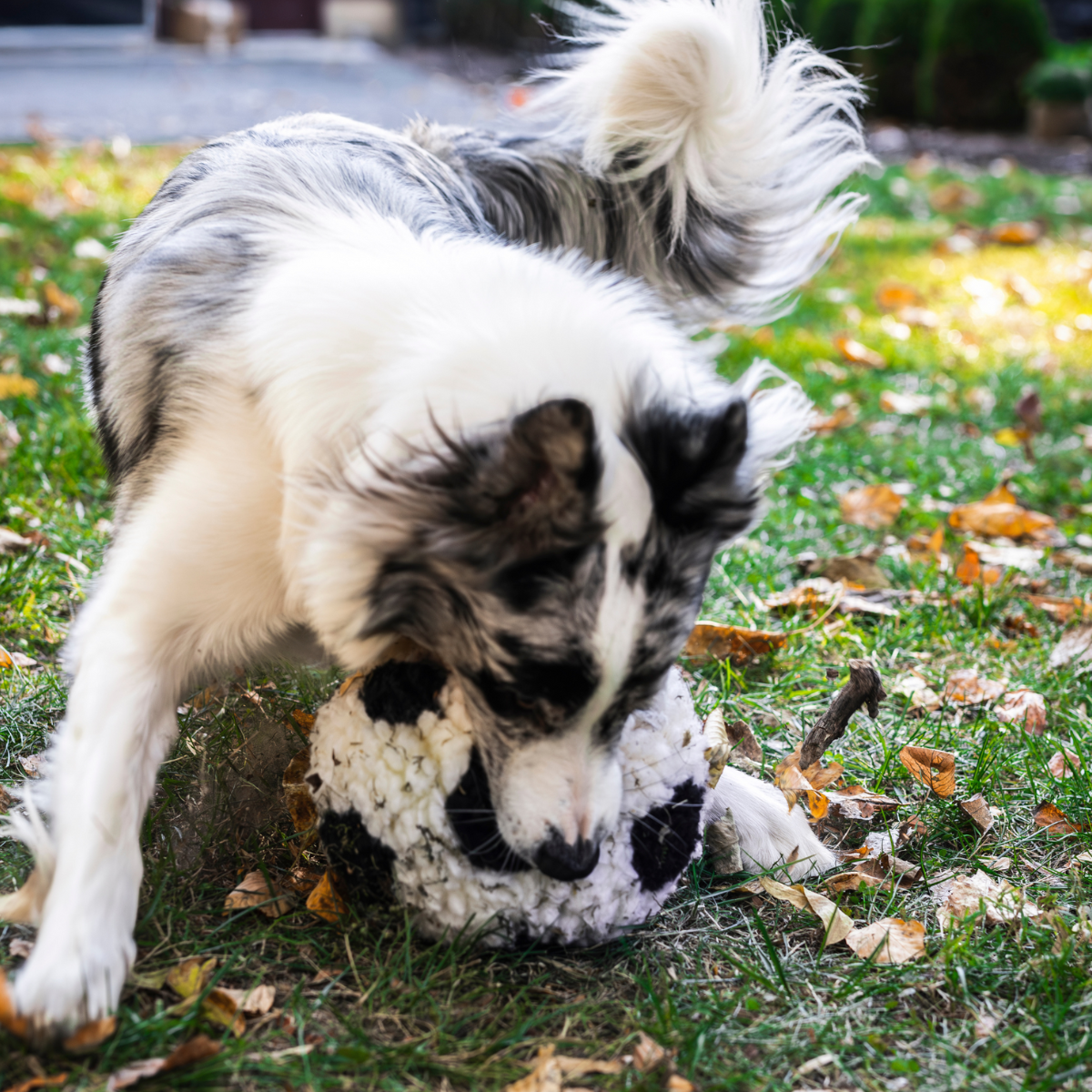 HuggleHounds HuggleFleece Soccer Ball Dog Toy