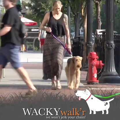 Urban Walk’r No-Pull Leash – Short City Dog Leash