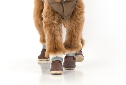 The Stassi Dog Snow Boots – Waterproof Winter Paw Protection