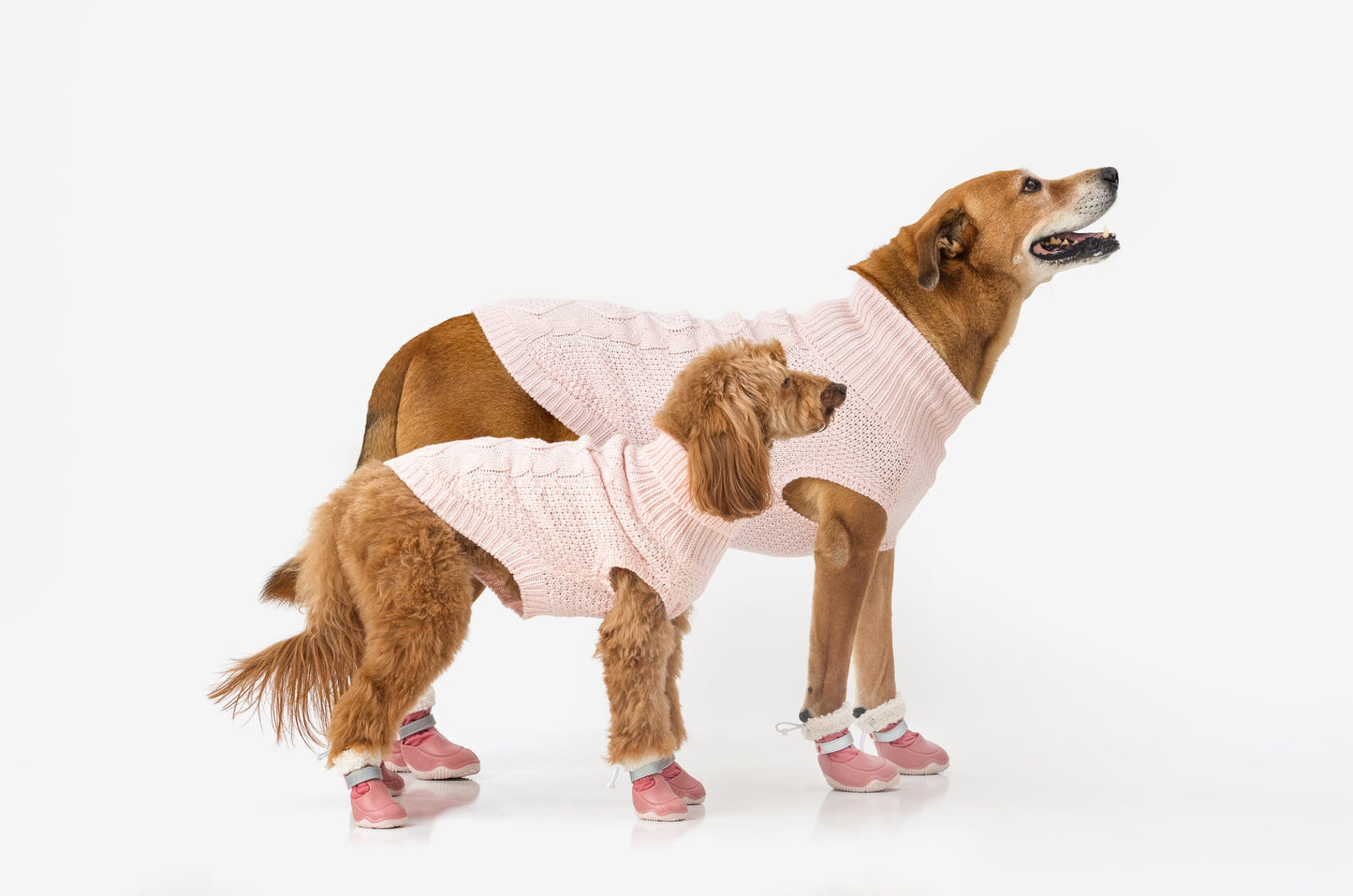 The Stassi Dog Snow Boots – Waterproof Winter Paw Protection