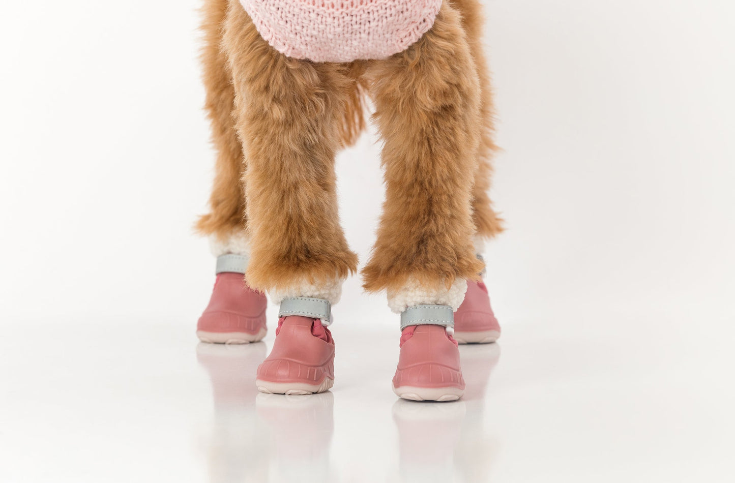 The Stassi Dog Snow Boots – Waterproof Winter Paw Protection