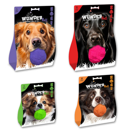 WUNDERball Fetch Toy – Natural Rubber Dog Ball