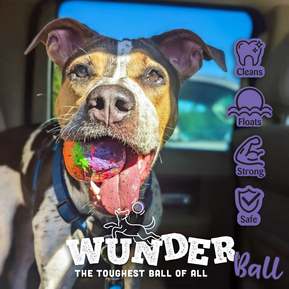 WUNDERball Fetch Toy – Natural Rubber Dog Ball