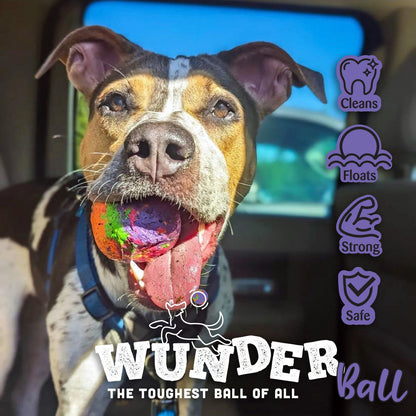 WUNDERball Fetch Toy – Natural Rubber Dog Ball