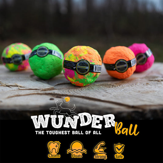 WUNDERball Fetch Toy – Natural Rubber Dog Ball