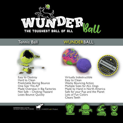 WUNDERball Fetch Toy – Natural Rubber Dog Ball
