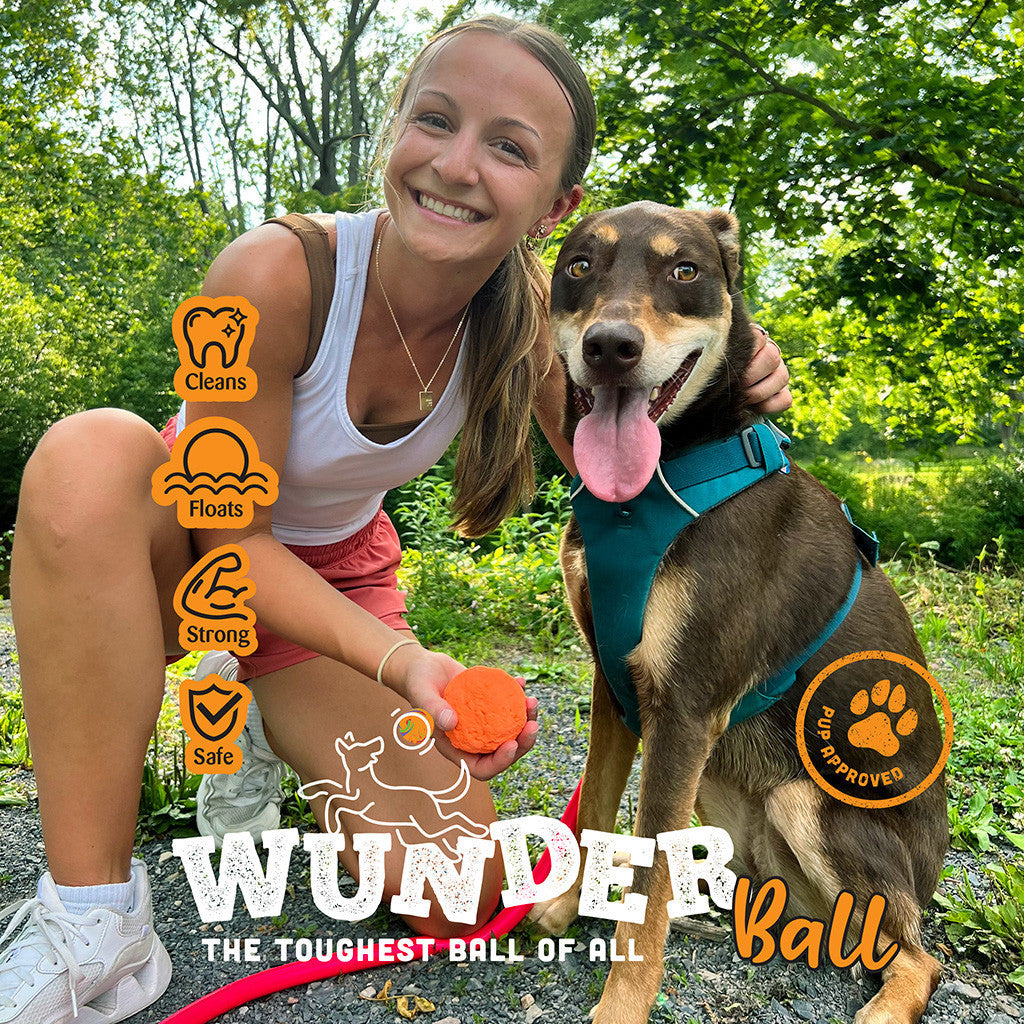 WUNDERball Fetch Toy – Natural Rubber Dog Ball