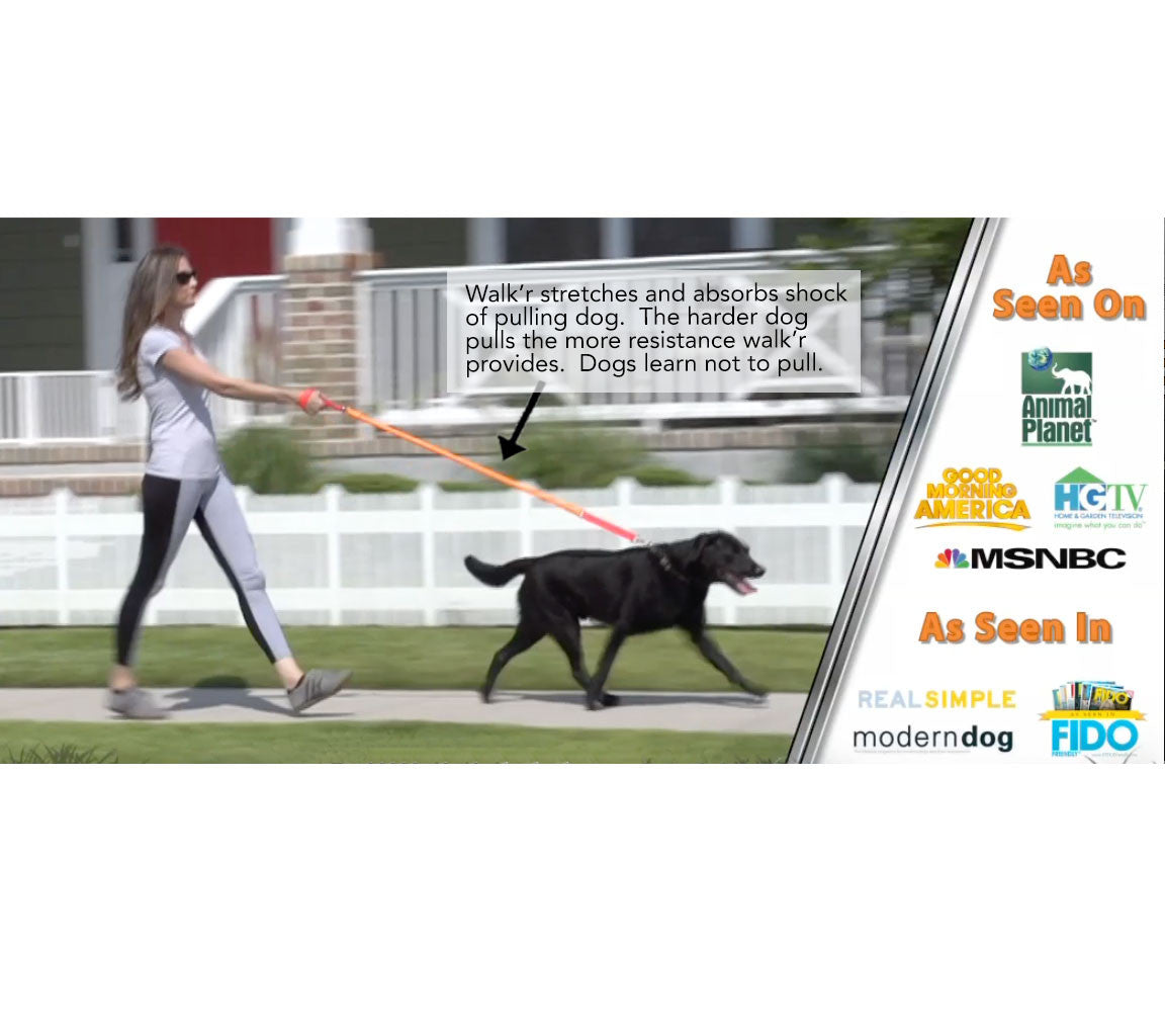 WUNDERleash No-Pull Dog Leash – Shock-Absorbing Walking Leash