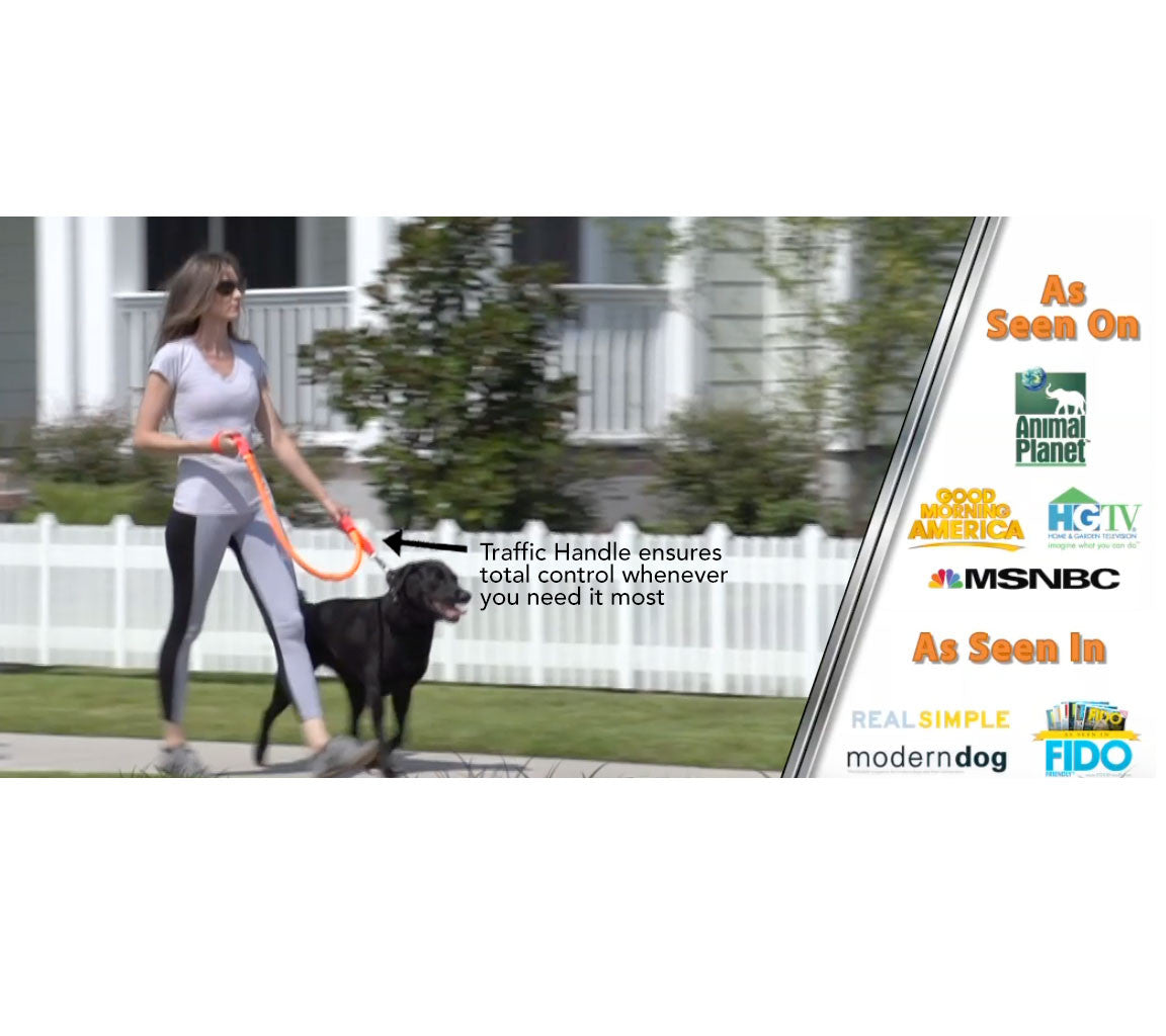 WUNDERleash No-Pull Dog Leash – Shock-Absorbing Walking Leash