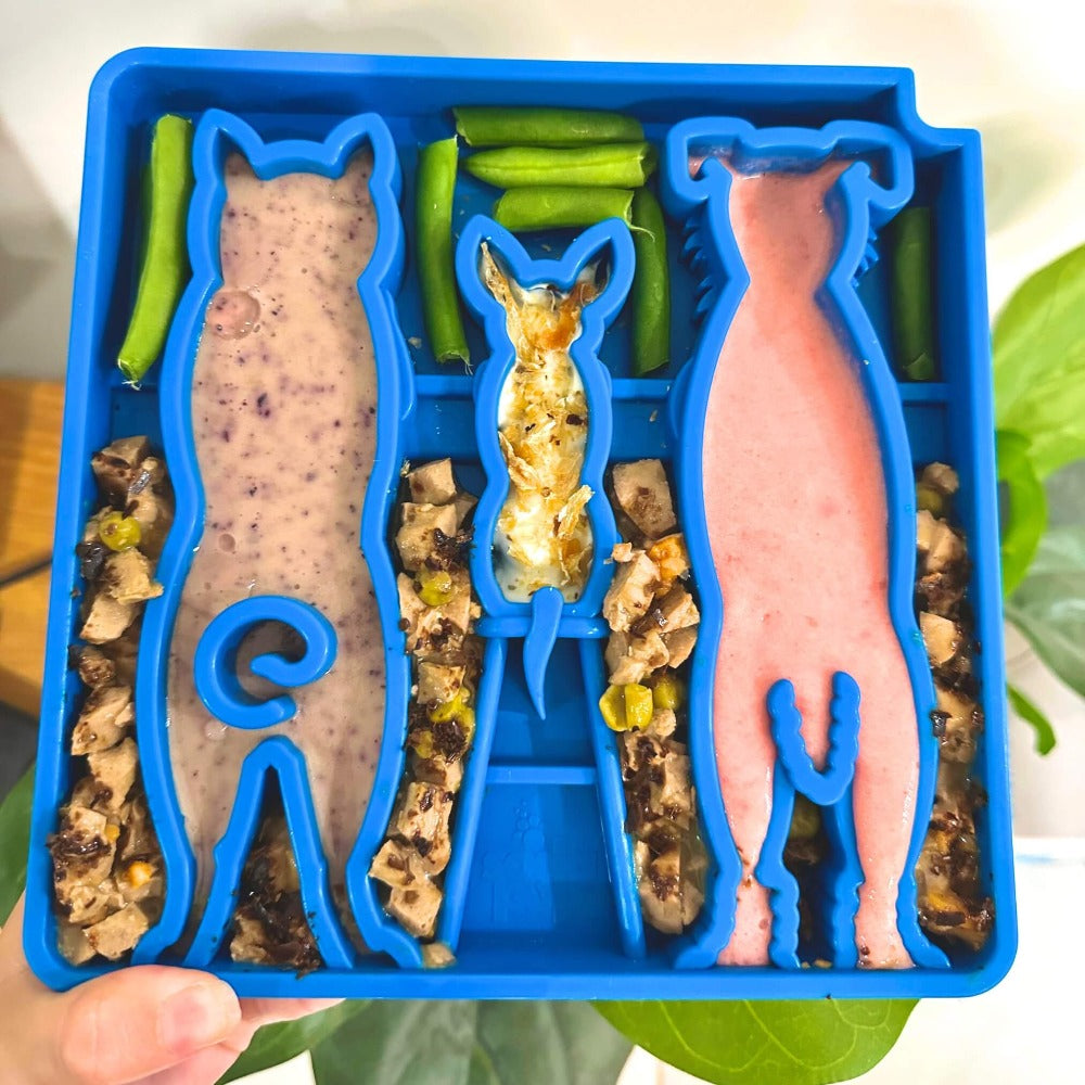 SodaPup Waiting Dogs eTray – Shallow Slow Feeder & Enrichment Tray