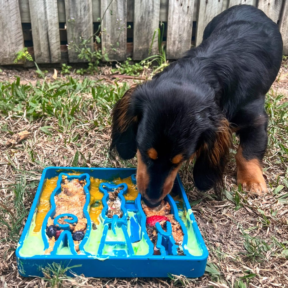 SodaPup Waiting Dogs eTray – Shallow Slow Feeder & Enrichment Tray
