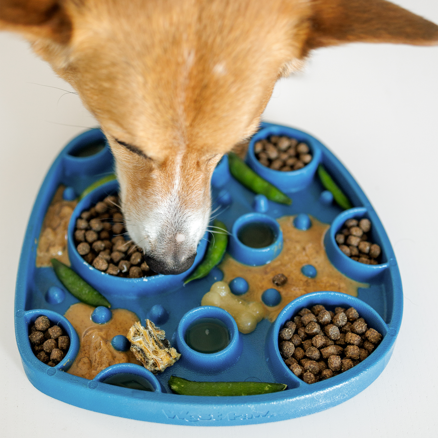 West Paw Bubbles Feast Mat – Slow Feeder & Lick Mat for Dogs