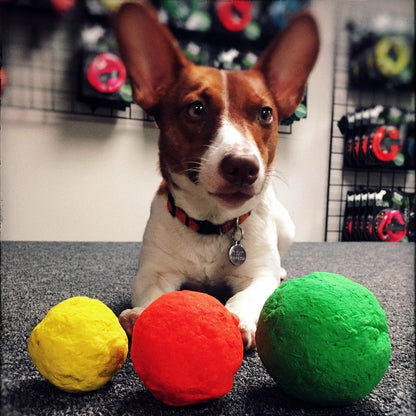 WUNDERball Fetch Toy – Natural Rubber Dog Ball
