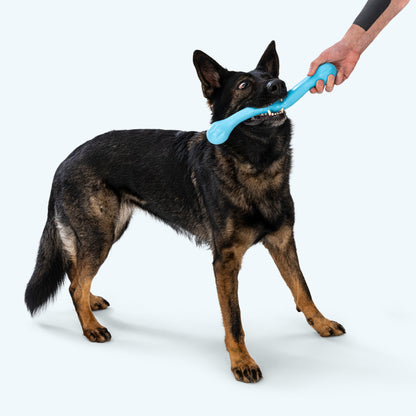 West Paw Zwig Dog Toy – Bouncy Tug & Fetch Toy