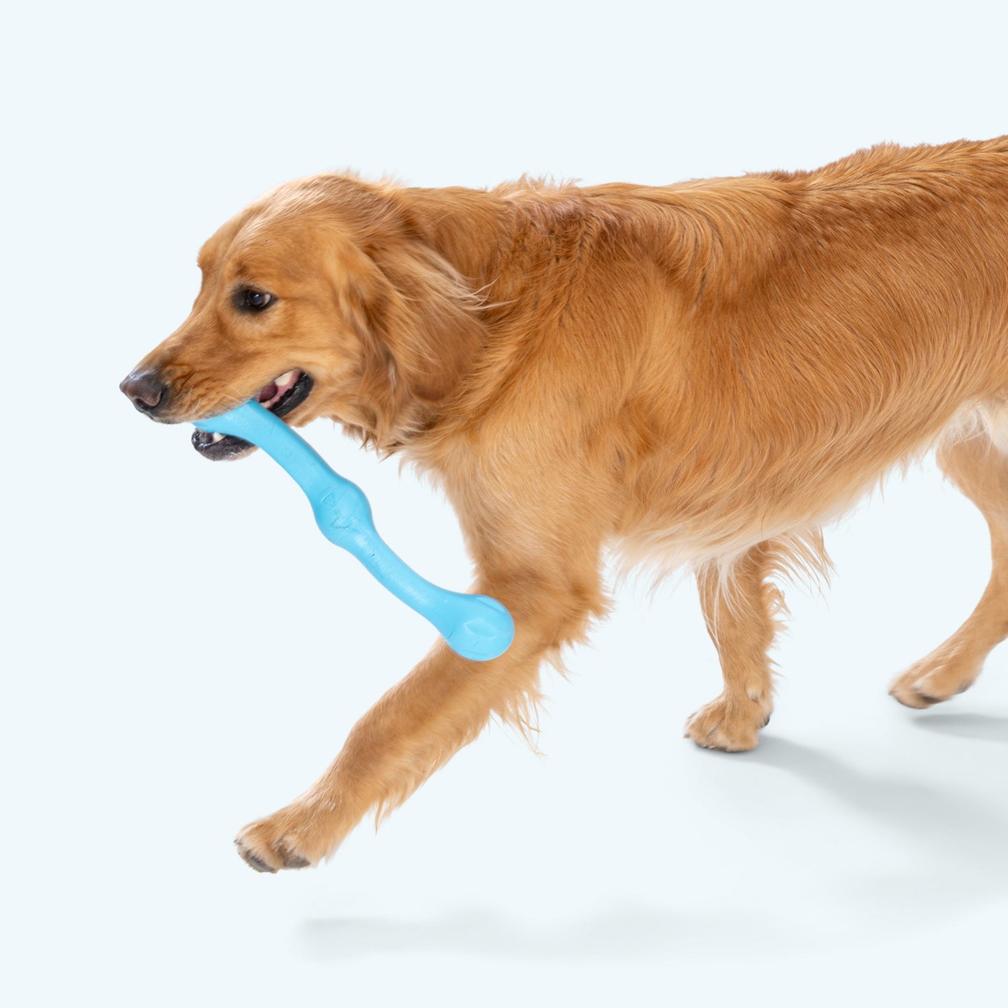 West Paw Zwig Dog Toy – Bouncy Tug & Fetch Toy