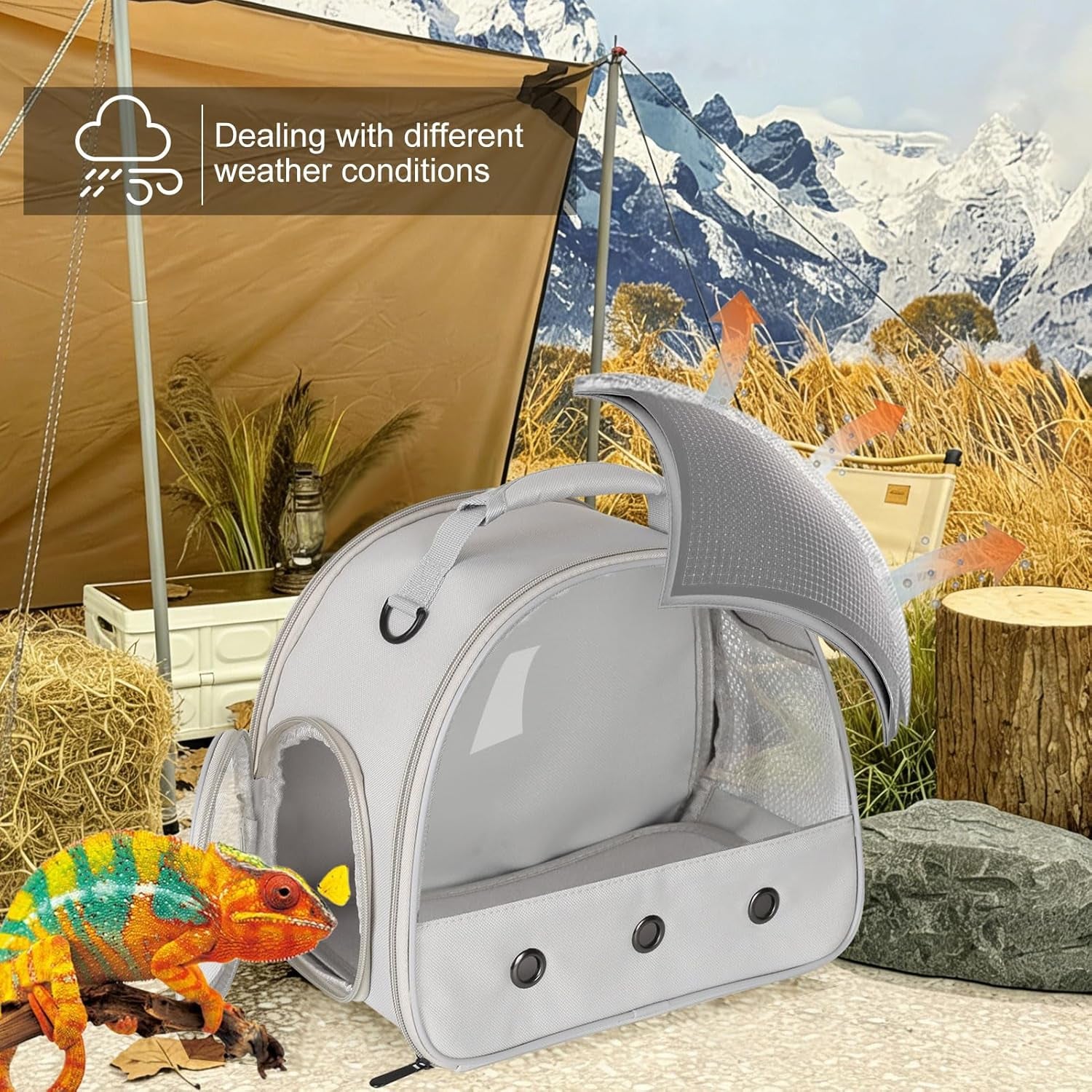 Small Animal Travel Carrier – Grey Bearded Dragon, Guinea Pig & Reptile Carrier
