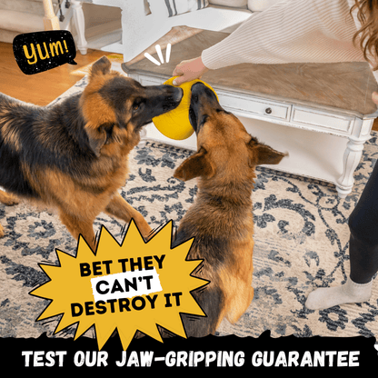 Launch Disc Dog Toy – Heavy-Duty Rubber Fetch Toy