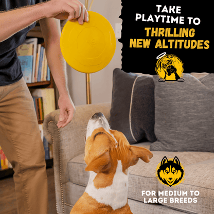 Launch Disc Dog Toy – Heavy-Duty Rubber Fetch Toy