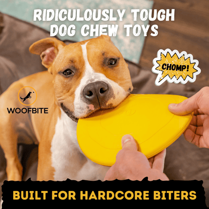 Launch Disc Dog Toy – Heavy-Duty Rubber Fetch Toy