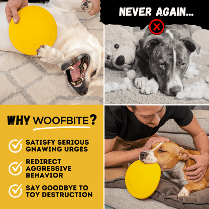Launch Disc Dog Toy – Heavy-Duty Rubber Fetch Toy