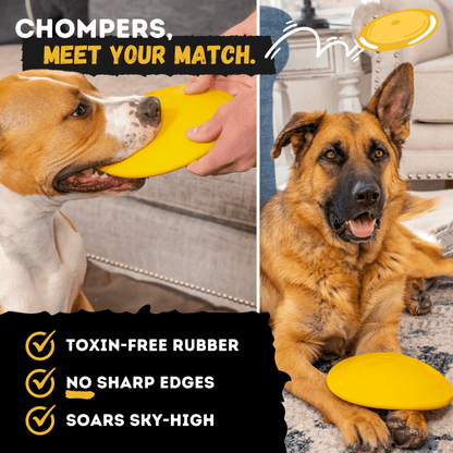 Launch Disc Dog Toy – Heavy-Duty Rubber Fetch Toy