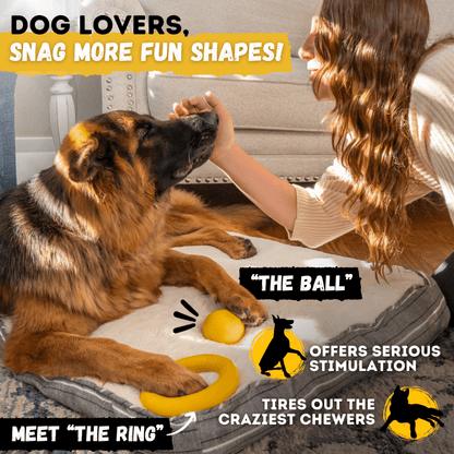 Launch Disc Dog Toy – Heavy-Duty Rubber Fetch Toy