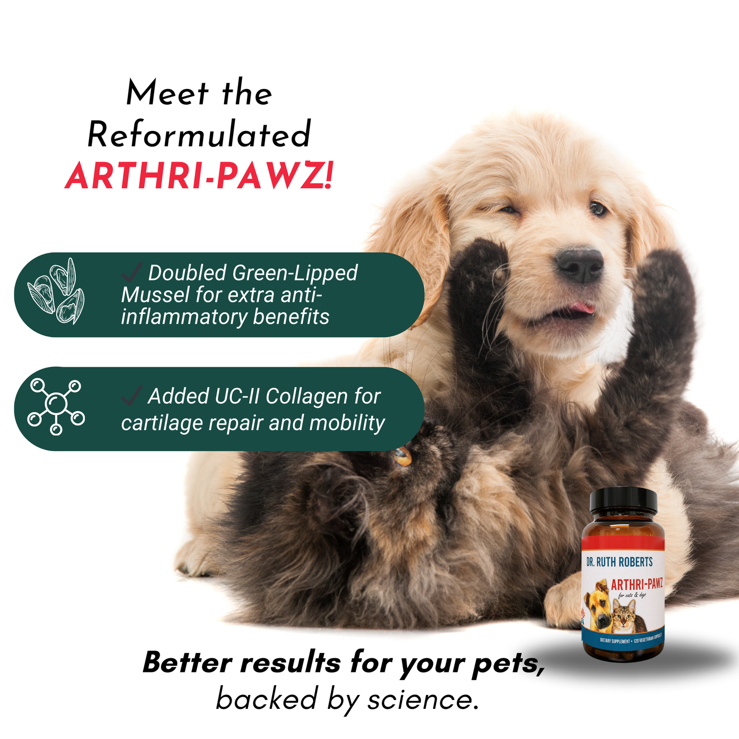 Arthri-Pawz Glucosamine Supplement for Dogs & Cats
