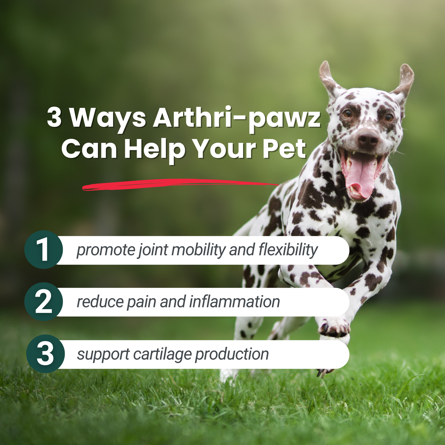 Arthri-Pawz Glucosamine Supplement for Dogs & Cats