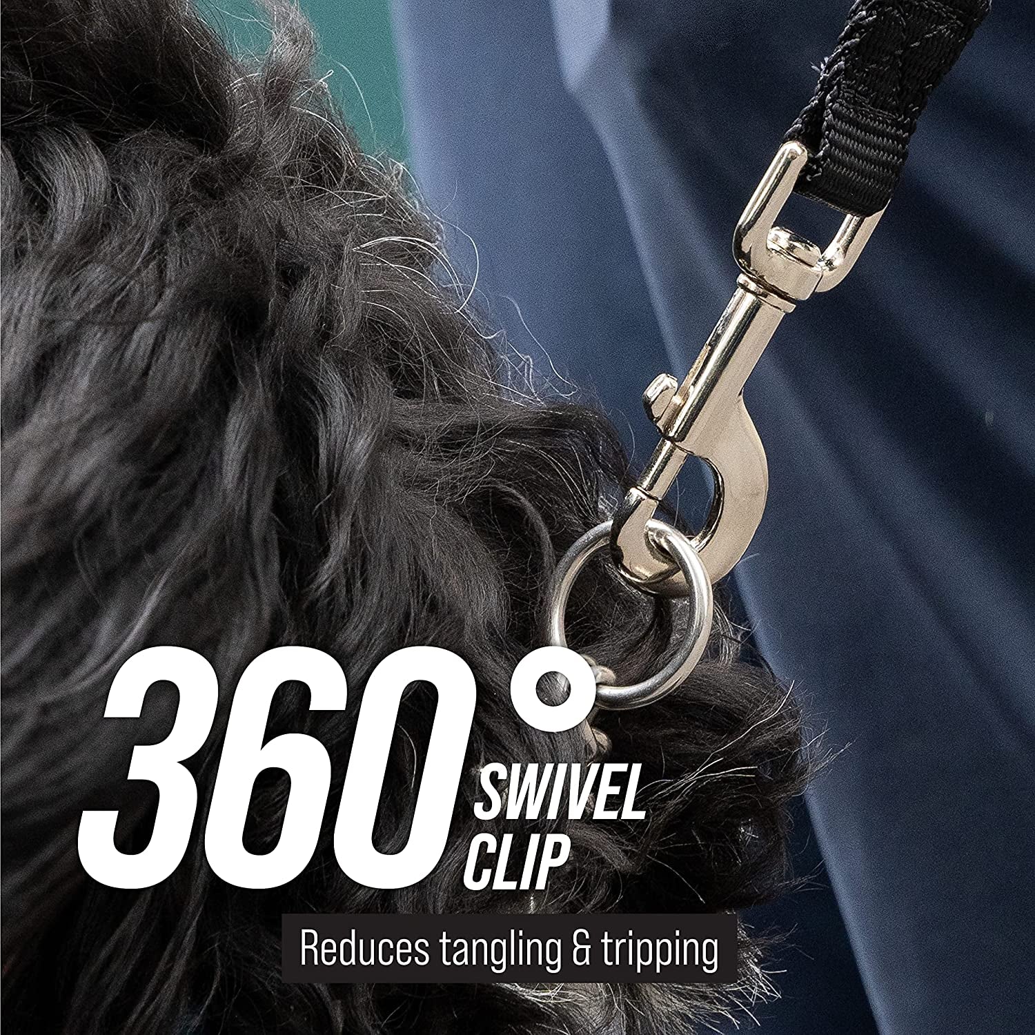 Leash Boss Long Dog Training Leash – 50 Ft Orange Nylon Recall Lead with Storage Strap