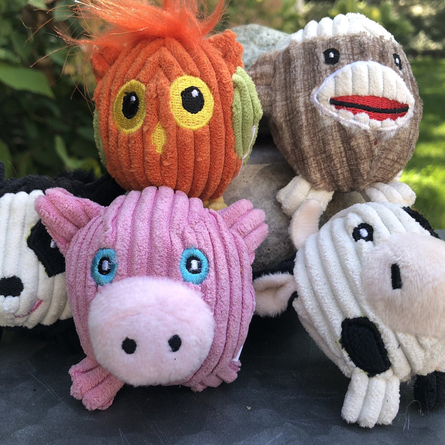 HuggleHounds Wee Huggles Assorted Ball Dog Toys, 5-Pack