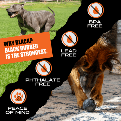 Beast Ball Dog Toy – Tough Rubber Ball for Aggressive Chewers
