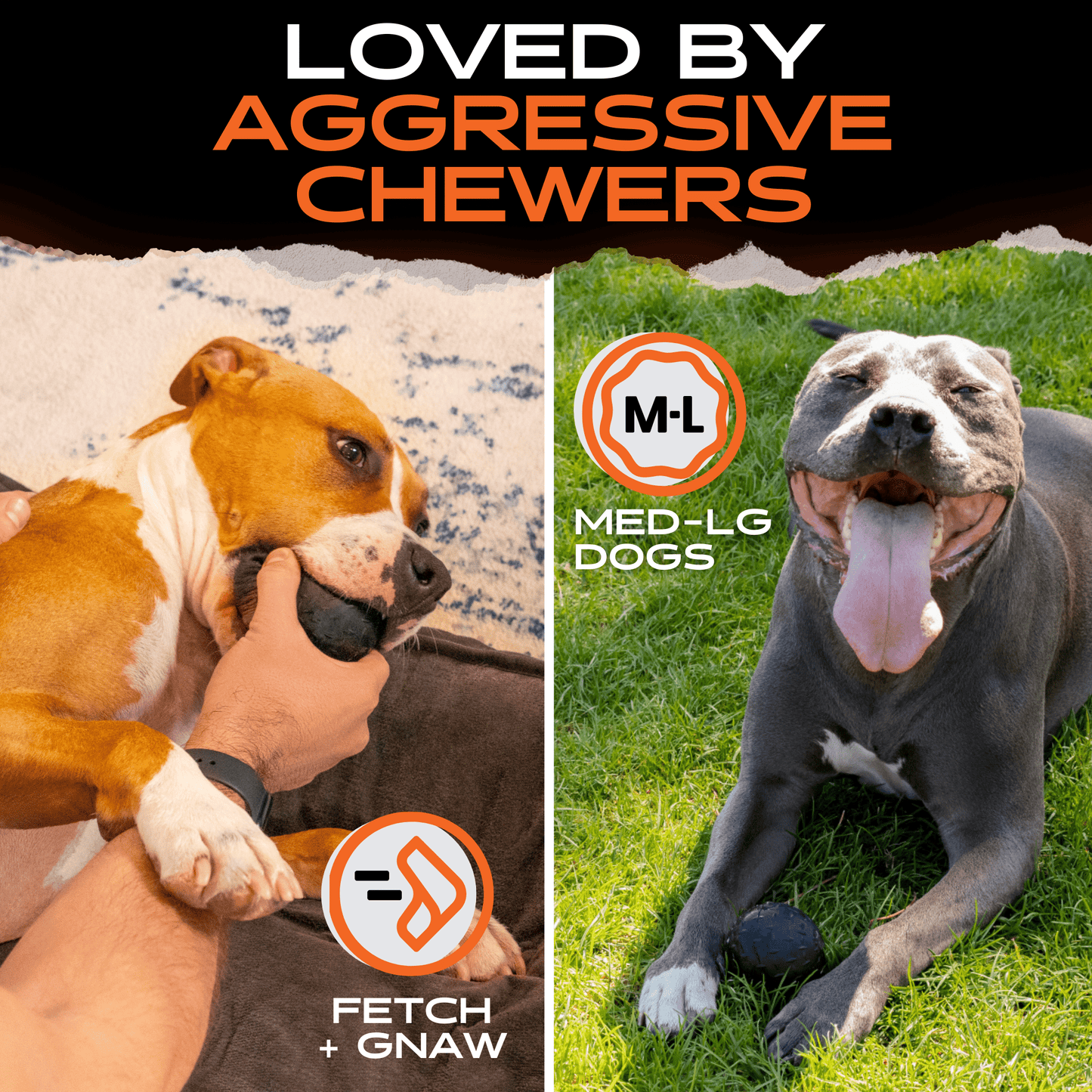 Beast Ball Dog Toy – Tough Rubber Ball for Aggressive Chewers