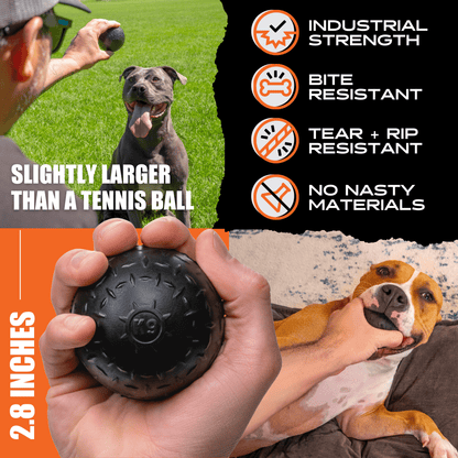 Beast Ball Dog Toy – Tough Rubber Ball for Aggressive Chewers