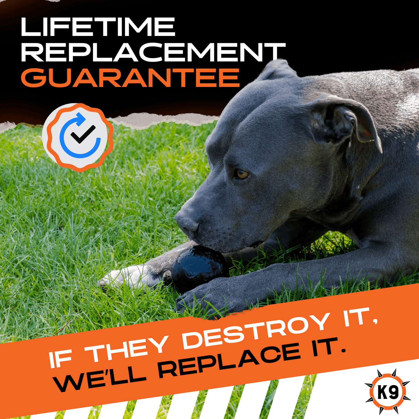 Beast Ball Dog Toy – Tough Rubber Ball for Aggressive Chewers