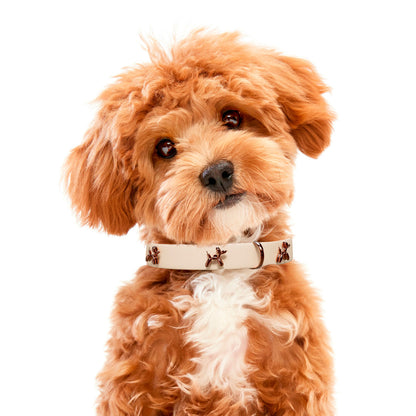SandDog Ballon Beige Dog Collar