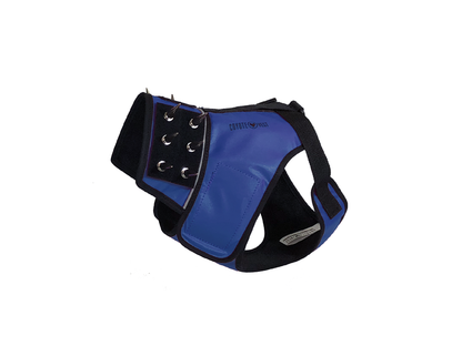 SpikeHarness Dog Harness – Spiked Neck Protection