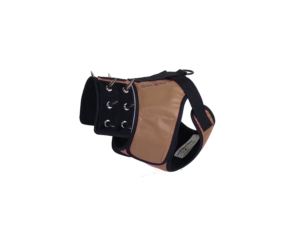 SpikeHarness Dog Harness – Spiked Neck Protection