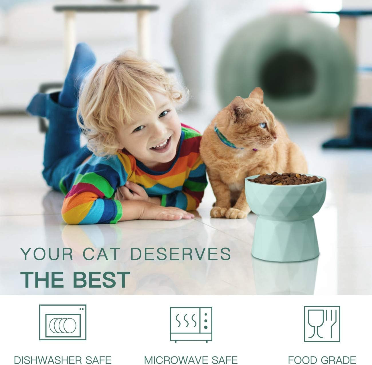Ceramic Raised Cat Bowl Set – Anti-Vomiting Food & Water Bowls in Green
