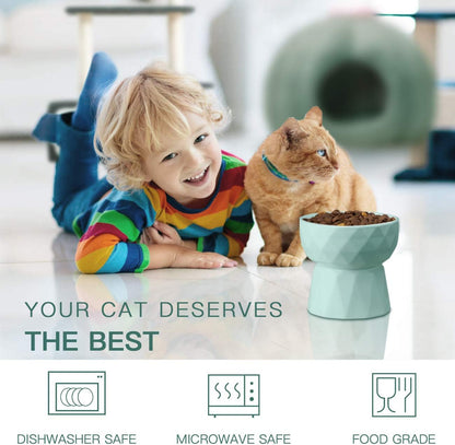 Ceramic Raised Cat Bowl Set – Anti-Vomiting Food & Water Bowls in Green