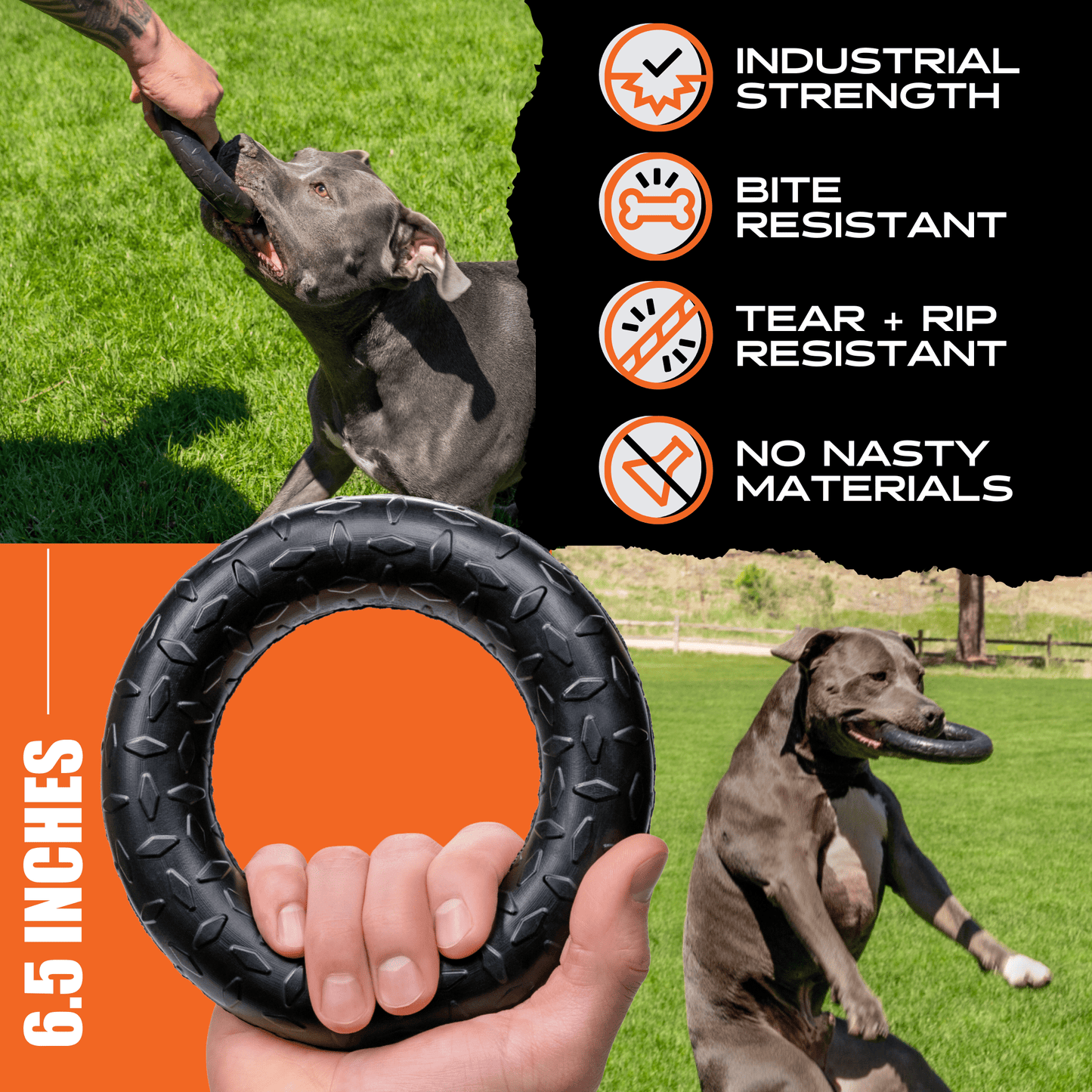 Chew Ring Dog Toy – Tough Rubber Ring for Aggressive Chewers