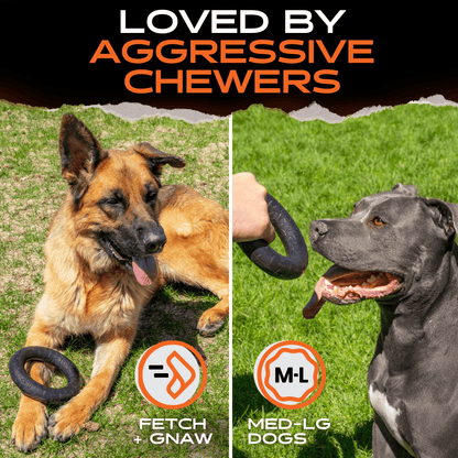Chew Ring Dog Toy – Tough Rubber Ring for Aggressive Chewers