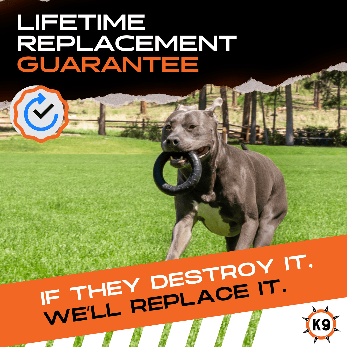 Chew Ring Dog Toy – Tough Rubber Ring for Aggressive Chewers