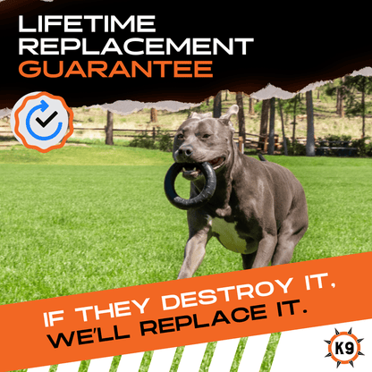 Chew Ring Dog Toy – Tough Rubber Ring for Aggressive Chewers