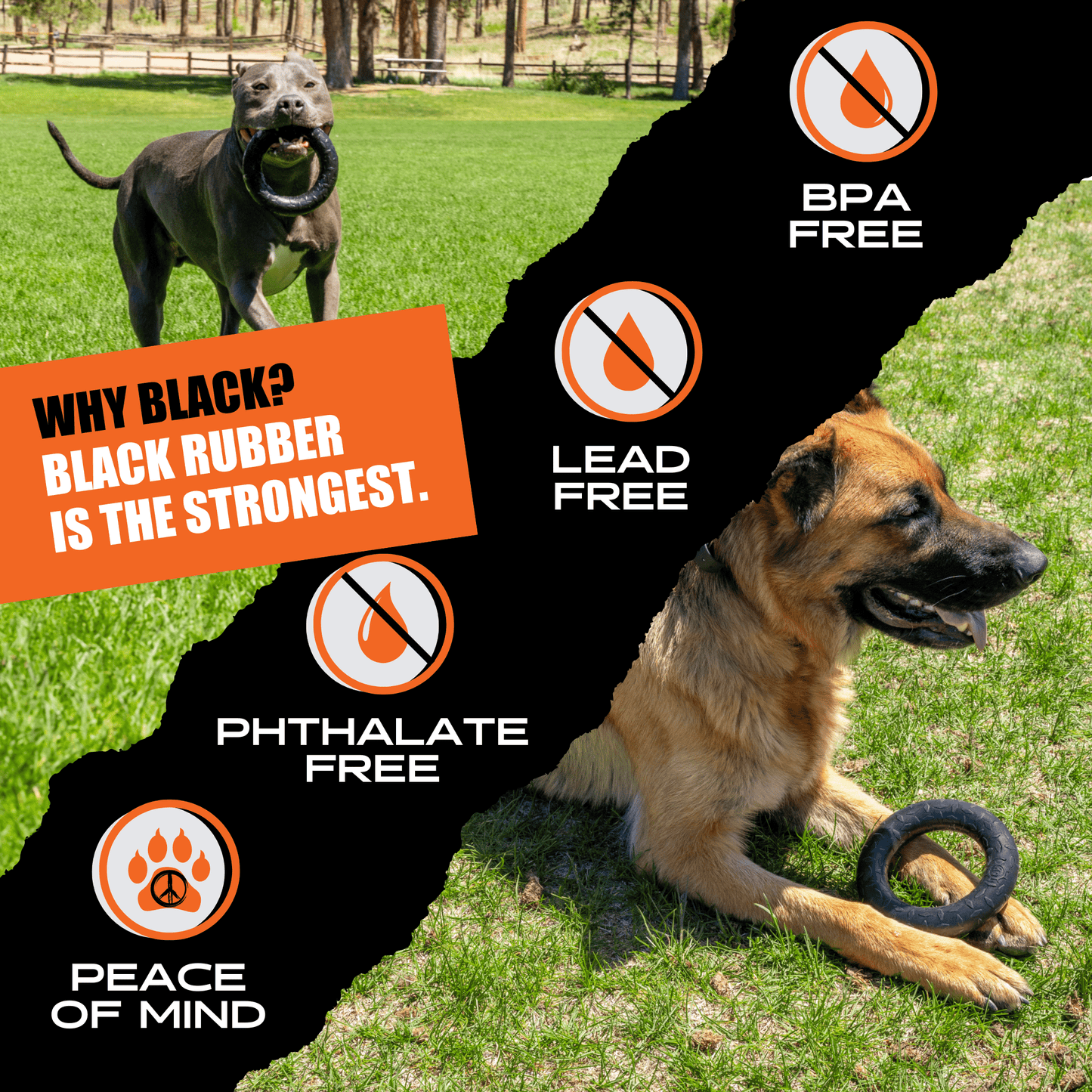 Chew Ring Dog Toy – Tough Rubber Ring for Aggressive Chewers