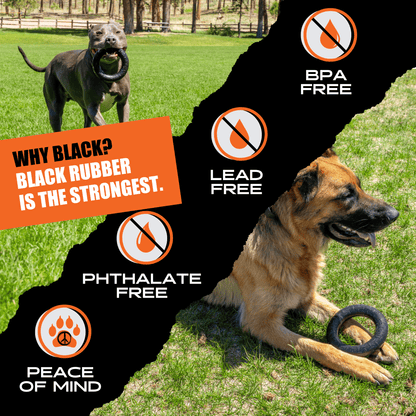Chew Ring Dog Toy – Tough Rubber Ring for Aggressive Chewers
