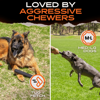 Chew Stick Dog Toy – Tough Rubber Stick for Aggressive Chewers