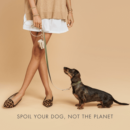 Nina Woof Copenhagen Dog Collar – Vegan Leather
